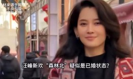 爆料网红离婚事件视频播放,视频播放量惊人，背后真相引人关注